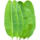 BANANA LEAF