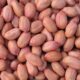 GROUNDNUT 1 KG