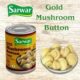 SARWAR MUSHROOM TIN